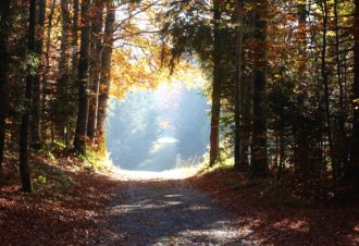 Tour de la Combe David – 68R