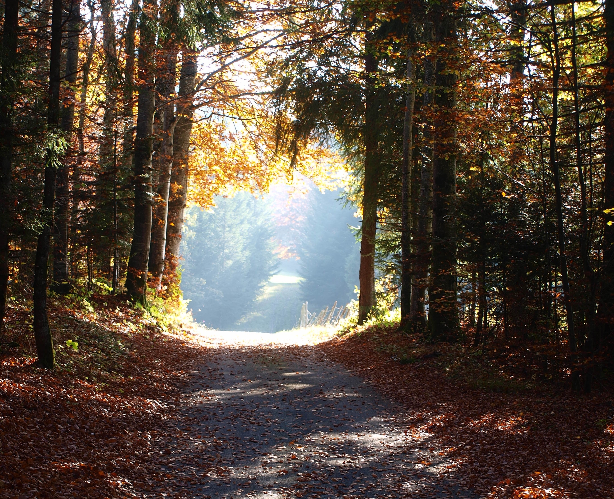 Tour de la Combe David – 68R