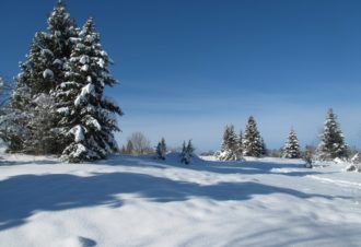 Piste damée pour piétons – Les rochats – rouge