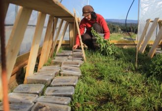 Les Escargots de Trémontagne