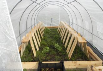 Les Escargots de Trémontagne