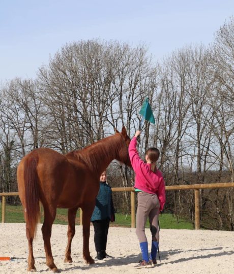 Les Écuries de l&rsquo;Osmose