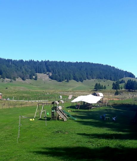 Aire naturelle de camping – La Ferme de l’Enquerne