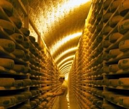 FORT DES ROUSSES – Caves d’affinage JuraFlore