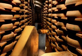 FORT DES ROUSSES – Caves d’affinage JuraFlore