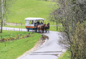 Centre Équestre Tinguely