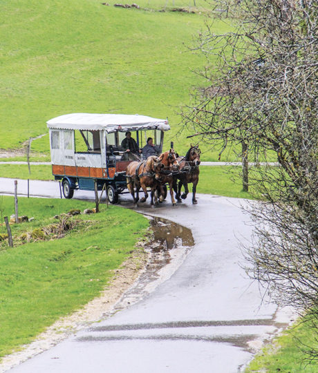 Centre Équestre Tinguely