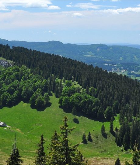 Circuits de randonnée pédestres et promenades douces