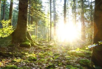 Le Livre d’or du Risoux