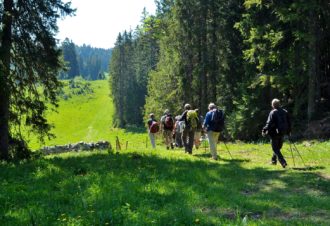 La Forêt du Massacre