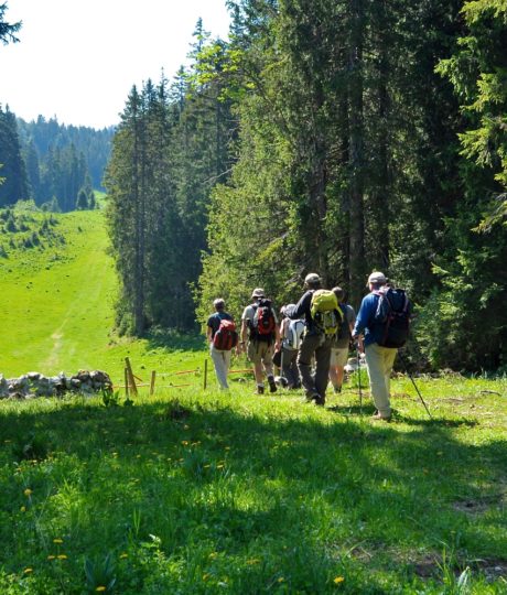 La Forêt du Massacre