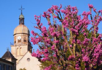 Eglise de Saint-Amour