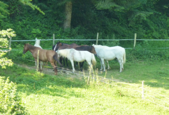 Centre Equestre de Vaucenans