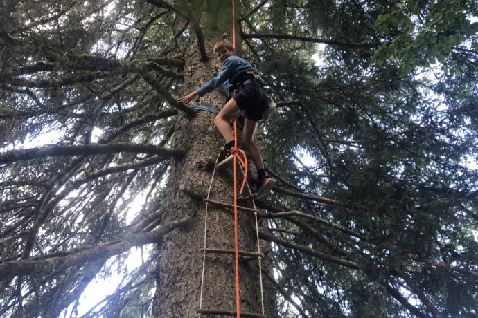 3AA2AFDA-E707-4D1A-8FCC-0AA096BB233E