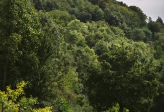 Nos Jardins Imparfaits