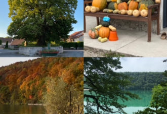 Maison Chemin Faisant