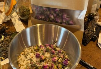 La Reine des Prés – Balade & Ateliers