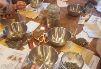 La Reine des Prés – Balade & Ateliers