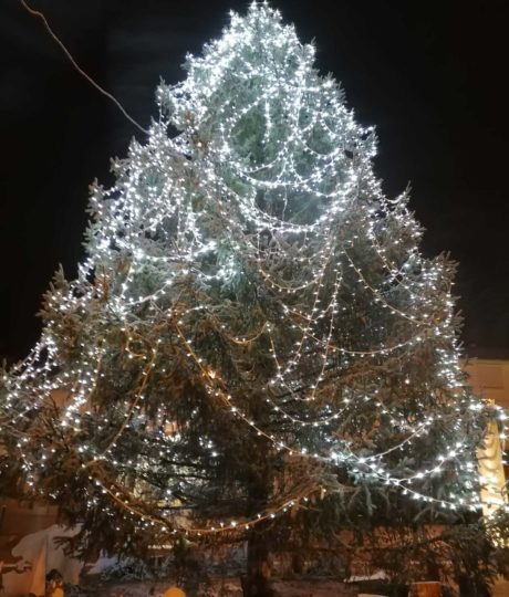 2135288Lancement des illuminations