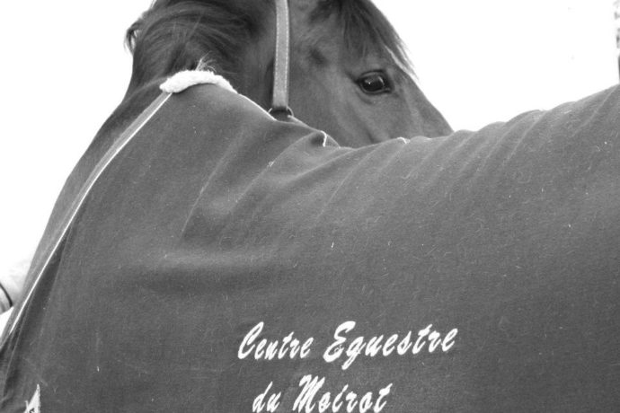 476812873_1176284630866933_5473175991424777397_n