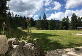 Les Epilobes – Appartement en résidence – P603JOR00