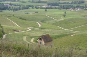 500972830_630933946634907_3436865253161084365_n