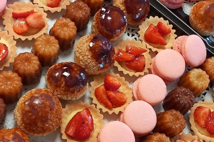 508695372_1434335031323086_8360184581237955582_n