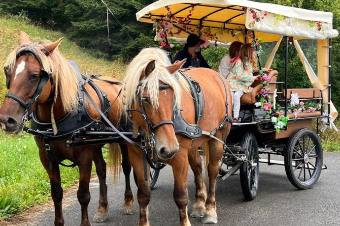 Calèche des Chauvins