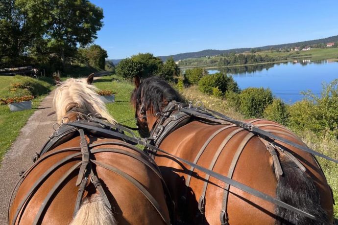 Calèche des Chauvins