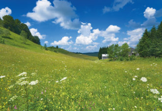 Rando moto à la découverte du Jura (4 jours)