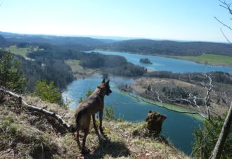 La Loge de la Suisse