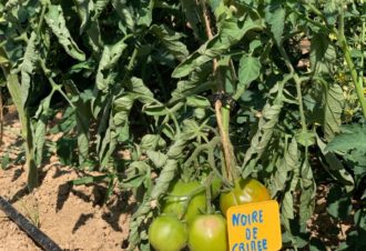 La Ferme de la Pommeraie