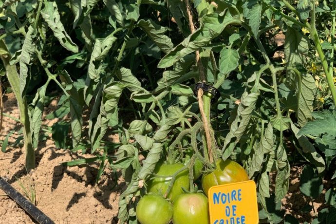 66271122_2092574527711093_4450192400534470656_n