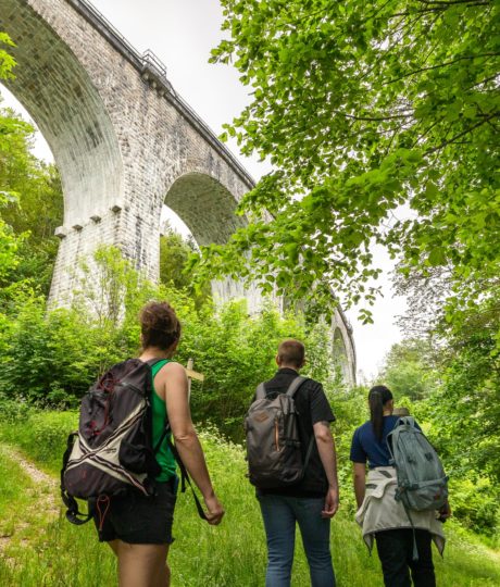 Excursion Ligne des Hirondelles : À l’Assaut des Viaducs