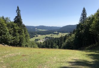 Le Logis du Loup Blanc – Appartement en résidence – P813LAB00