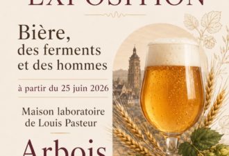 Bière, des ferments et des hommes