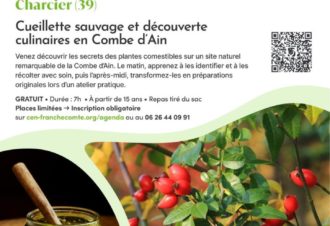 Cueillette sauvage et découvertes culinaires en Combe d&rsquo;Ain