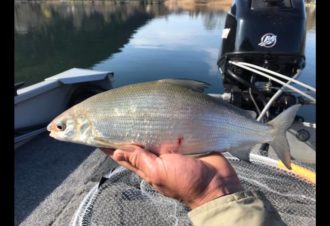 Pêche au lac de Chalain