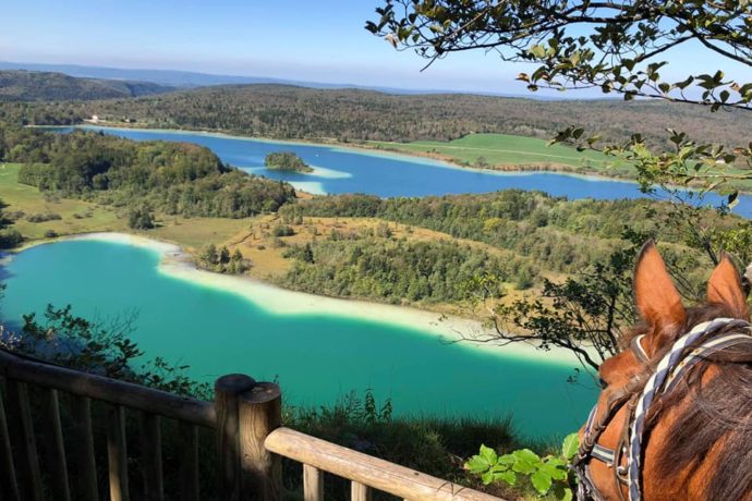 95012686_1439917959522800_749107240622882816_n