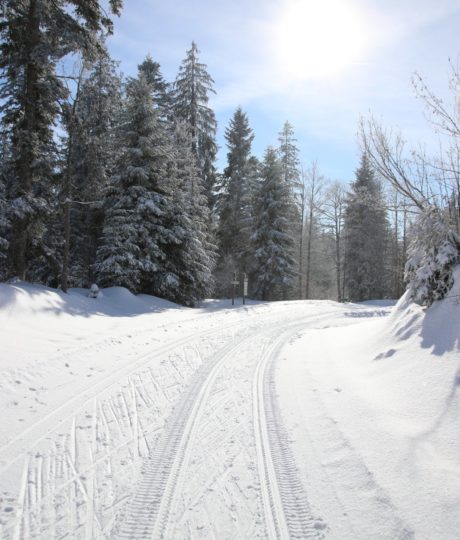 Site Nordique de la Haute-Joux