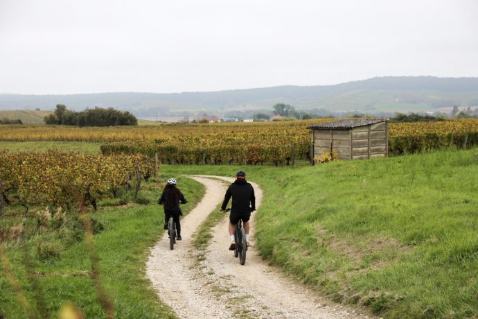 A_Tour_de_Roues(Arbois_automne_2025)@Salomé Robin_Jura Tourisme _ (21)