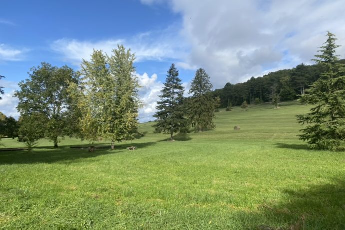 le parc du château
