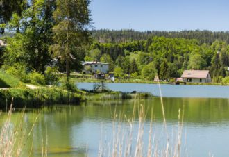 Lac des Bruyères