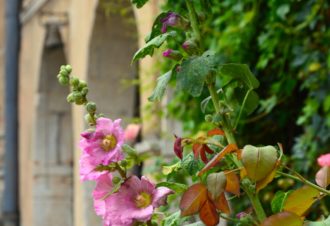 Demeure d’Aiglepierre