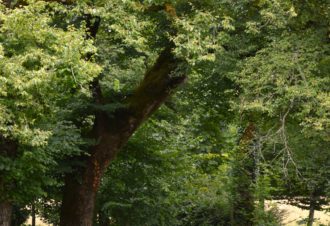 Demeure d’Aiglepierre