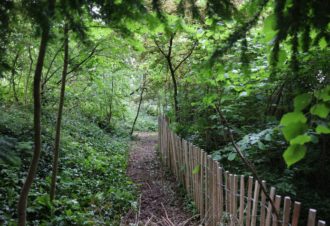 Arboretum Pierre et Serge Antier