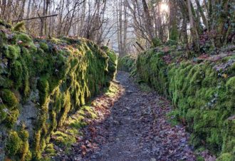 Belvedere de l’Ermitage