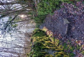 Belvedere de l&rsquo;Ermitage