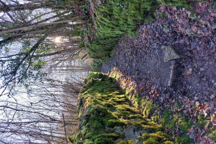 ARBOIS_Sentier Ermitage 2 (Hiver 2022)_Corentin Tardivel