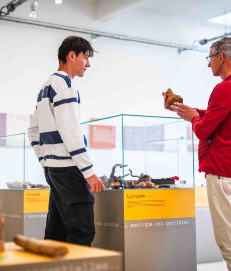 Atelier des savoir-faire